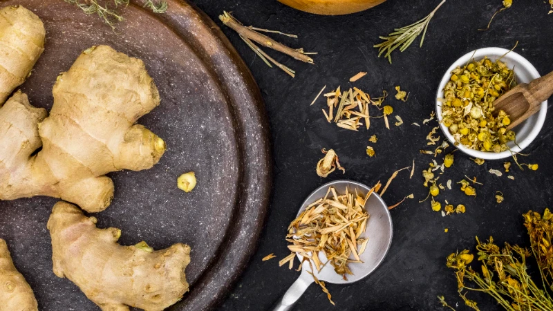 CPOTB Bukan Sekadar Sertifikat: Fondasi Mutu Pabrik Obat Tradisional